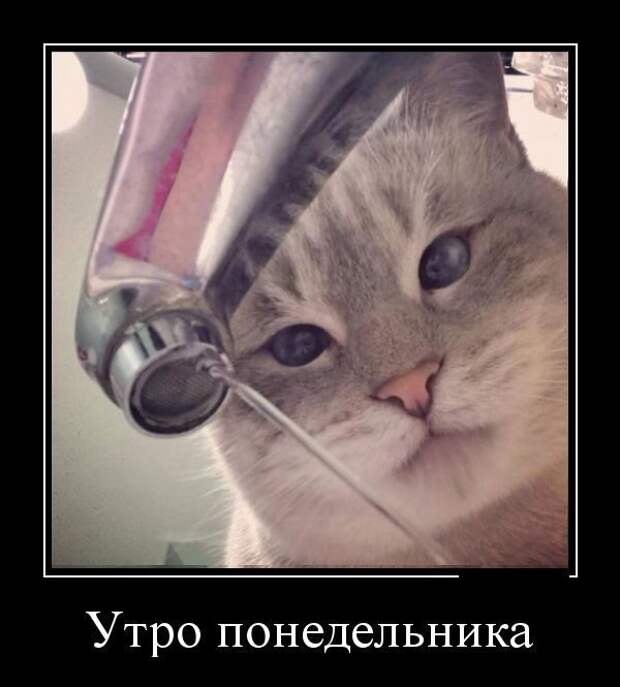Отличные демотиваторы