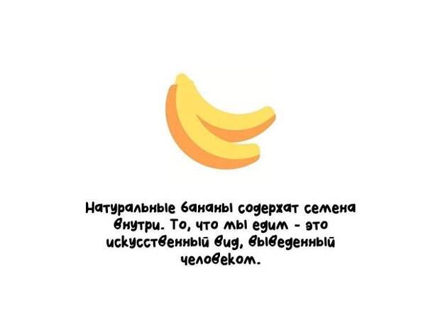 Самые разные короткие факты на все случаи жизни