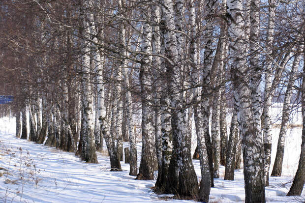 Логистика ВСУ в Харьковской области парализована из-за снега и мобилизации