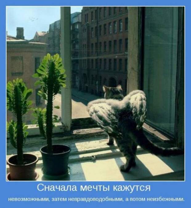 Мотиваторы для позитива (19 шт)