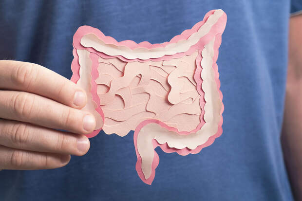 Врач Шкурко: в России растет число пациентов с воспалительными болезнями кишечника