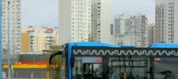 Ветераны-инвалиды СВО возможно смогут работать водителями. В России дефицит кадров