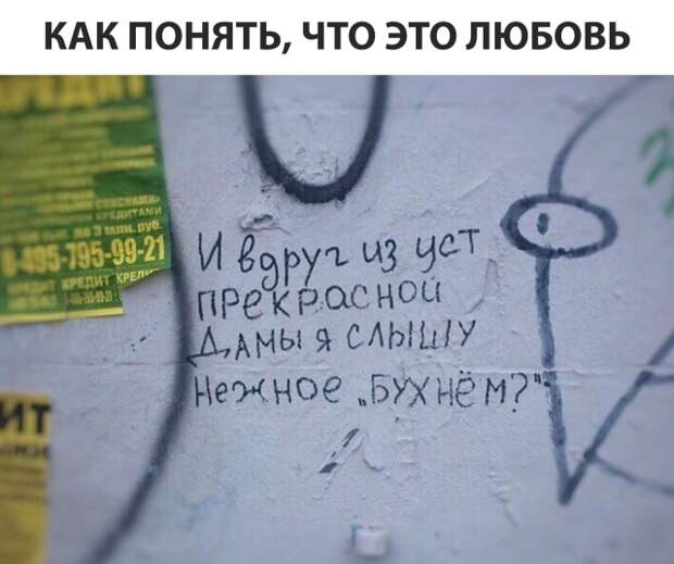 Подборка картинок (20 фото)
