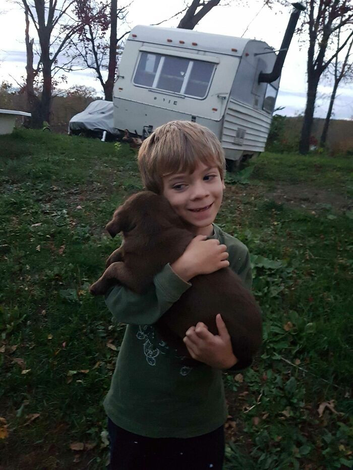 Вот почему дому, где растёт ребёнок, нужна собака