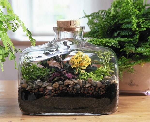 6 практических советов для создания сада в бутылке