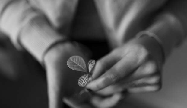 Почему бизнесу выгодно заботиться об экологии?