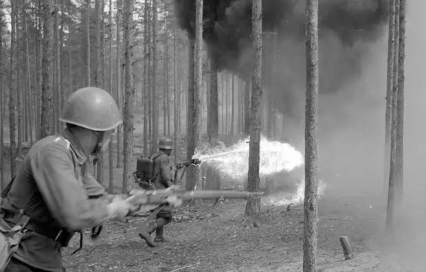 Огнемет в действии. В лесу недалеко от деревни Niinisalo в Финляндии
