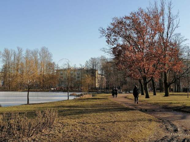 В Петербурге 30 марта воздух прогреется до +14 градусов