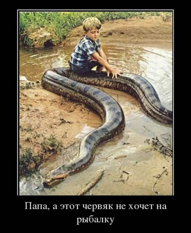 Убойные демотиваторы (24 шт)