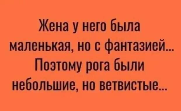 Уважаемые друзья! Часто в различных источниках можно прочесть анекдоты, от которых порой не знаешь — смеяться или плакать.-7
