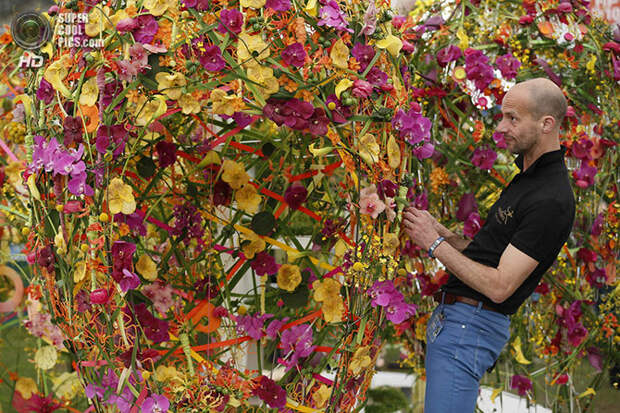 Выставка цветов и ландшафтного дизайна Chelsea Flower Show 2014