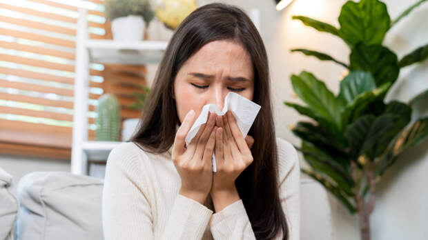 В Роспотребнадзоре опровергли информацию о появлении в России нового вируса