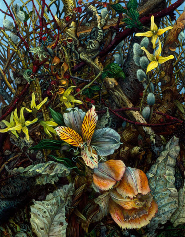 Лилии. Автор: Judy Garfin.