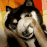 ����� ��������, share, s,  gif ��������, ����������, ���������, ������,  ��� �������� ������� ��������� 