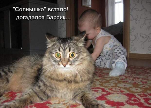 Прикольные и смешные зверюшки # 34