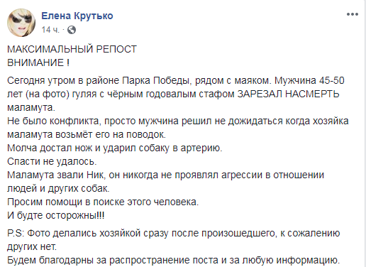 В Севастополе мужчина зарезал насмерть собаку на глазах у хозяйки