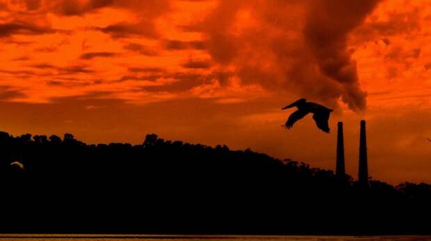 Катастрофа неизбежна: тревожный прогноз на ближайшее будущее