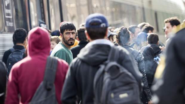 Европа приблизила свой крах. "Иждивенчество граждан и засилье мигрантов"