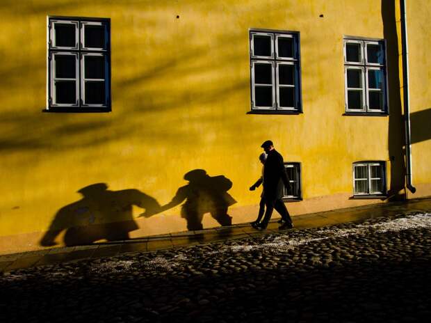 natgeowllppr22 natgeowllppr22 Обои для рабочего стола от National Geographic за июнь 2013