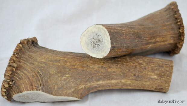 Best Bully Sticks - Elk Antler