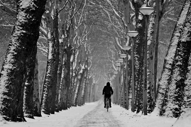 Дорога / фото: pixabay.com