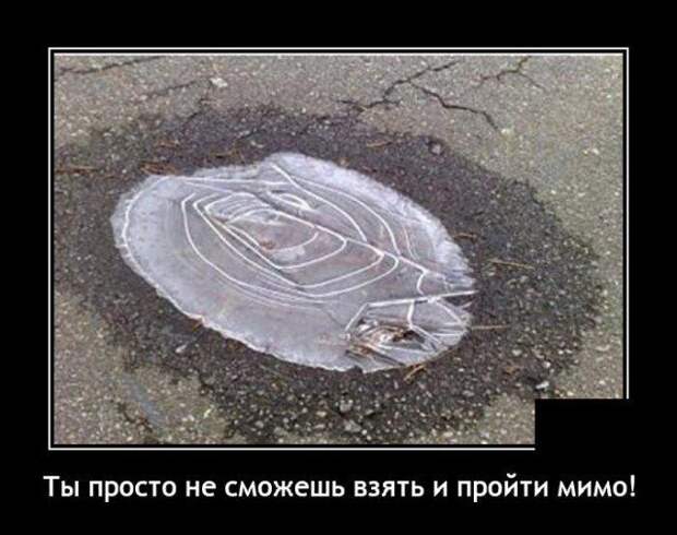 demotivatory-demotivator-smeshnye-demotivatory-demotivator-so-smyslom