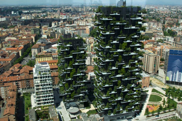 Во-многих-развитых-странах-озеленяют-фасады