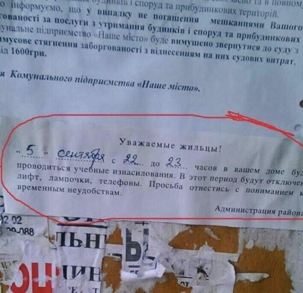 Картинки, юмор, приколы