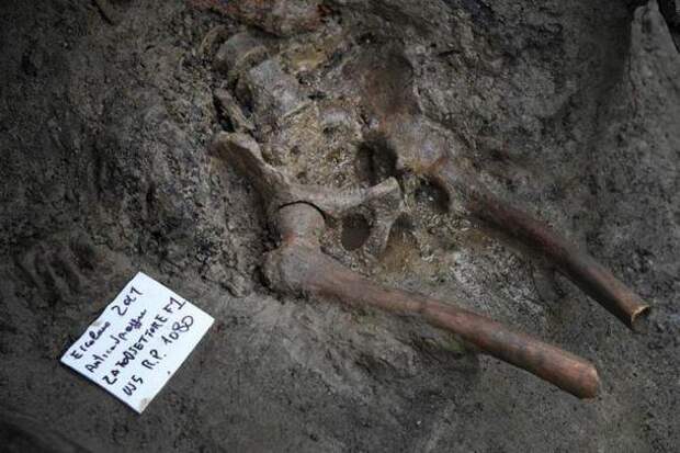 Нижняя часть туловища и верхняя часть ног жертвы извержения Везувия