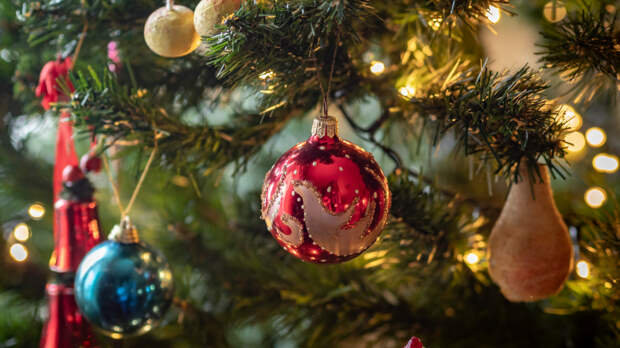 Прощай, красавица: как правильно убрать елку и новогодний декор?