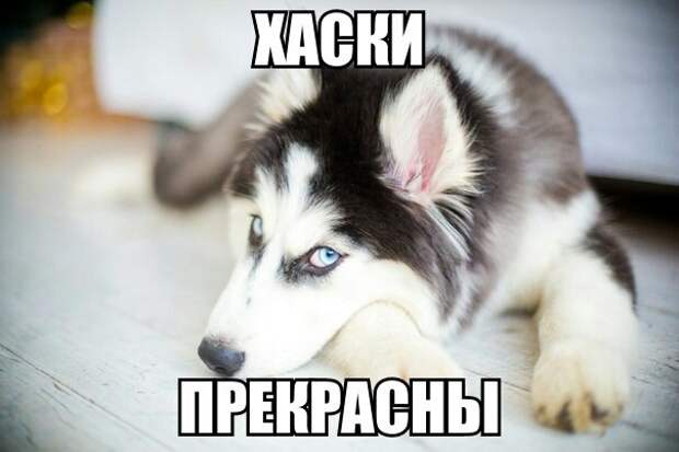 Позитивные картинки с надписями для хорошего настроения (12 фото) Позитивные картинки с надписями для хорошего настроения (12 фото)