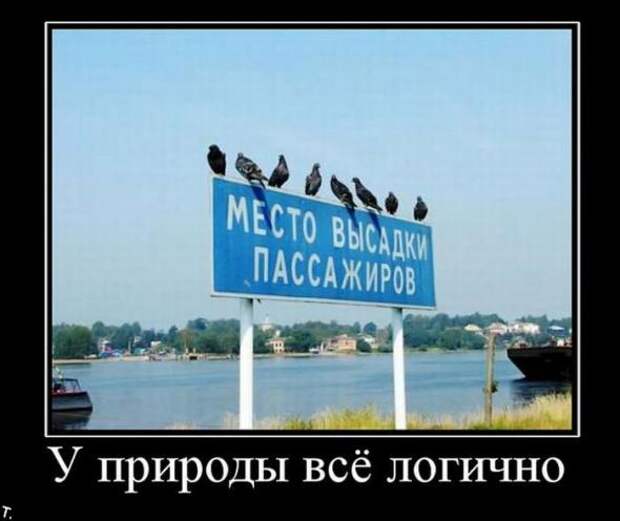Демотиваторы от 16.03.11 (100шт.)