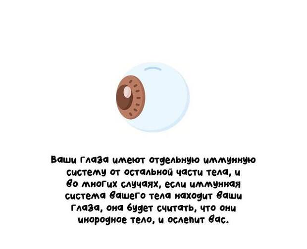 Самые разные короткие факты на все случаи жизни