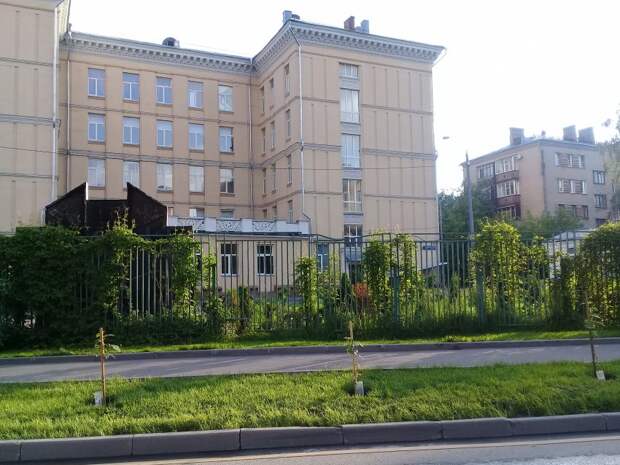 Аллея Памяти появилась у школы в Беговом Фото с сайта sao.mos.ru