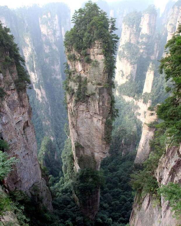Горы Тяньцзи в Китае
