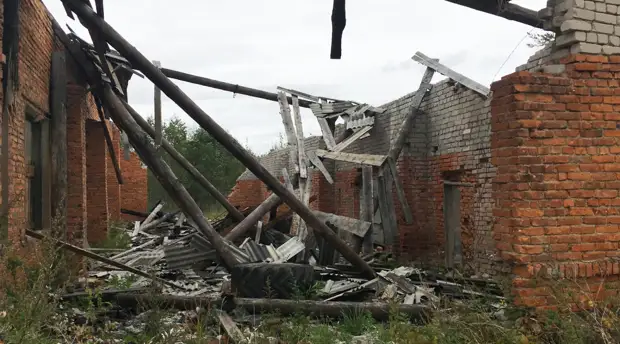 Прованс под Тверью: как предприниматель, работавший во Франции, пытался возродить колхоз в российской глубинке