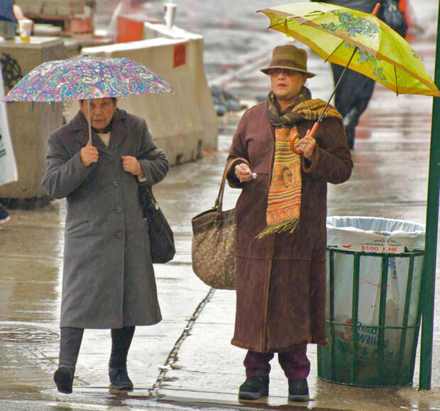 Под зонтом. (Ed Yourdon)