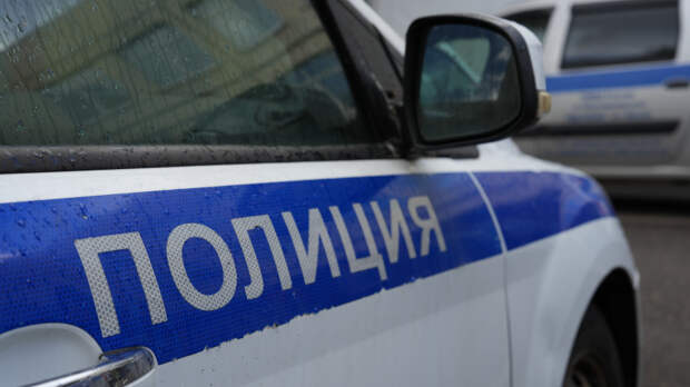 Блогера Елену Кристал избили во время проверки салона красоты в Петербурге