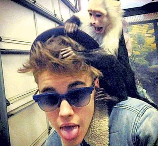 джастин бибер с обезьянкой на плече