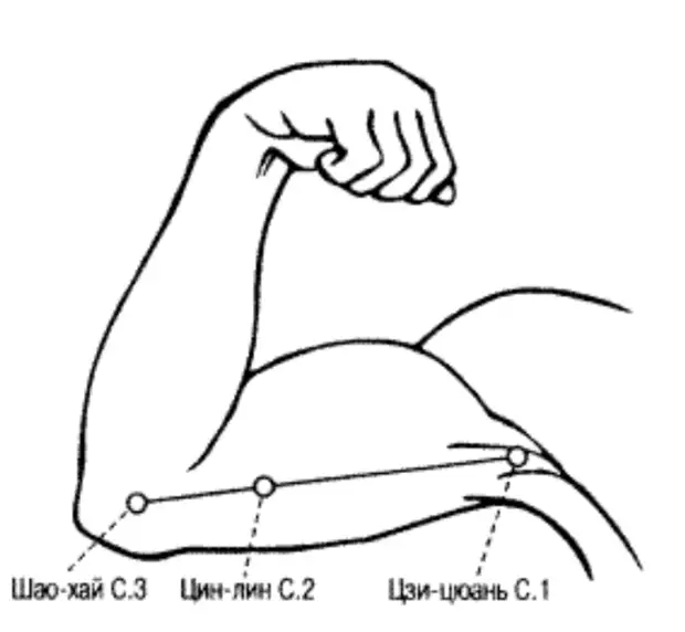 6 волшебных точек на руках от усталости, головной боли и проблем с сердцем 6 волшебных точек на руках от усталости, головной боли и проблем с сердцем