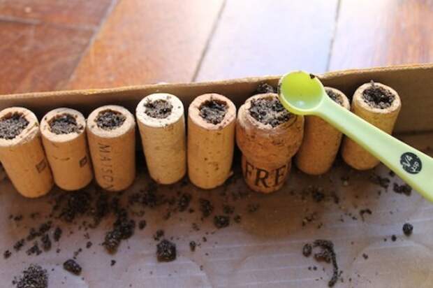 cork_planters10-500x333