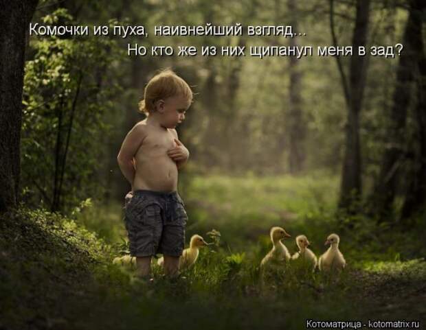 Лучшие котоматрицы недели Лучшие котоматрицы недели