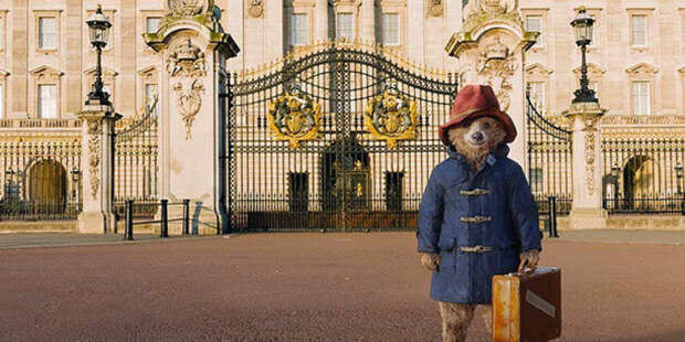 o-PADDINGTON-BEAR-facebook
