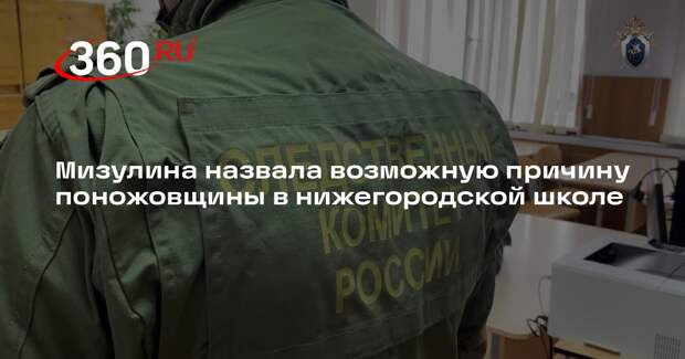 Мизулина: причиной нападения на двух школьников в Нижнем Новгороде стал буллинг