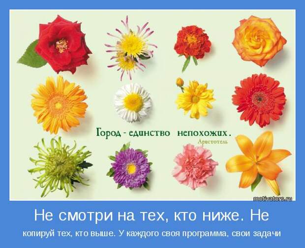 копируй тех, кто выше. У каждого своя программа, свои задачи