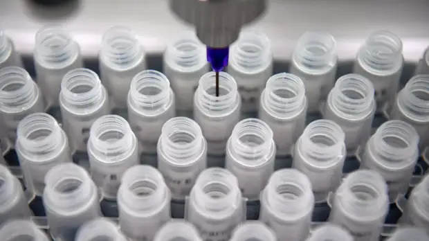 Попова заявила об увеличении охвата тестированием на коронавирус