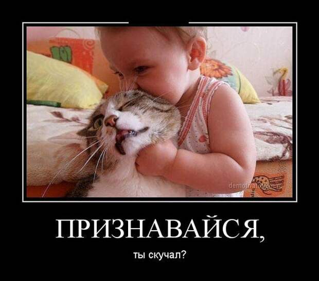 Пачка весёлых демотиваторов