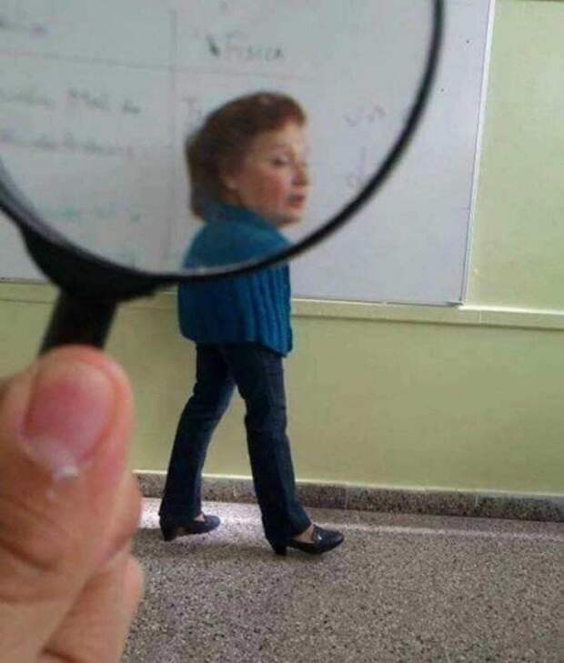 Забавные снимки, которые выглядят эпично благодаря искажению