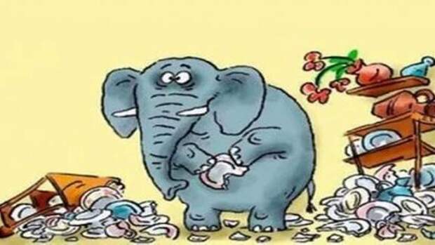 Депутат Госдумы жёстко «наехал» на Минцифры