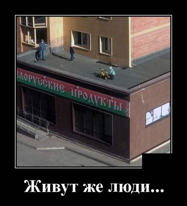 demotivatory-demotivator-smeshnye-demotivatory-demotivator-so-smyslom